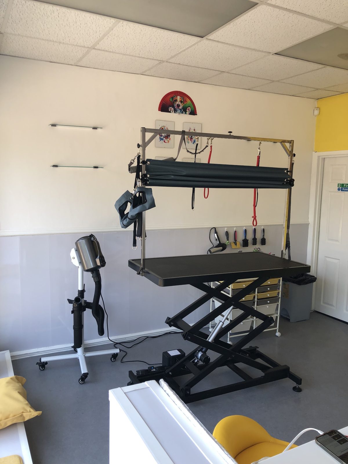The grooming room at Bertie's House, with an electric grooming table, dryer and brushes on the wall